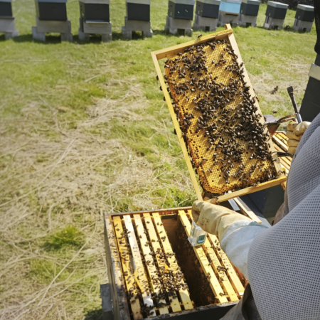 freepik__expand__66100